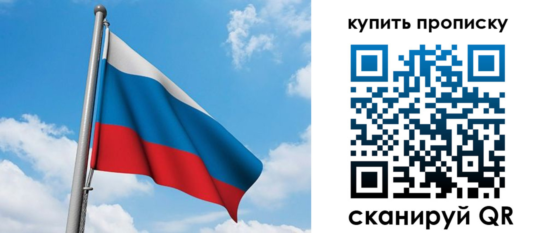 прописка законно в Дмитрове